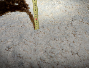 Zateplení stropu dřevostavby pomocí foukané izolace